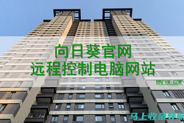 向日葵官方站长统计实战应用：数据驱动营销增长