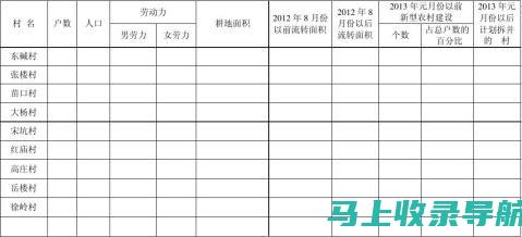 乡镇统计站站长如何推动信息化建设进程